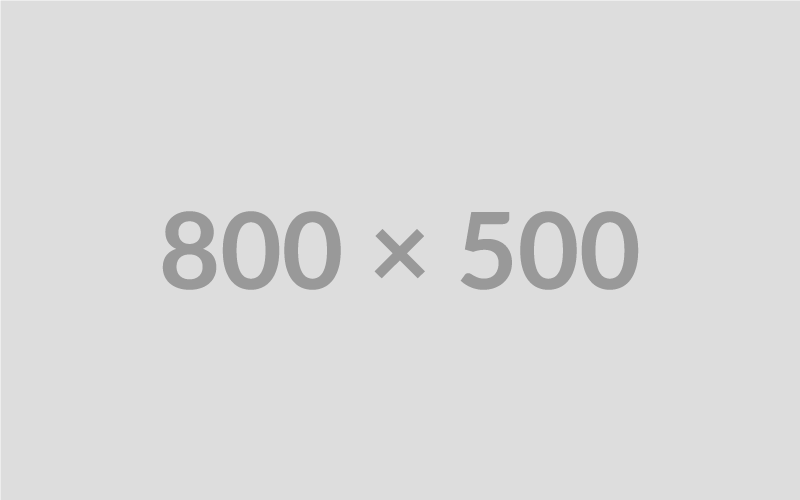 800x500